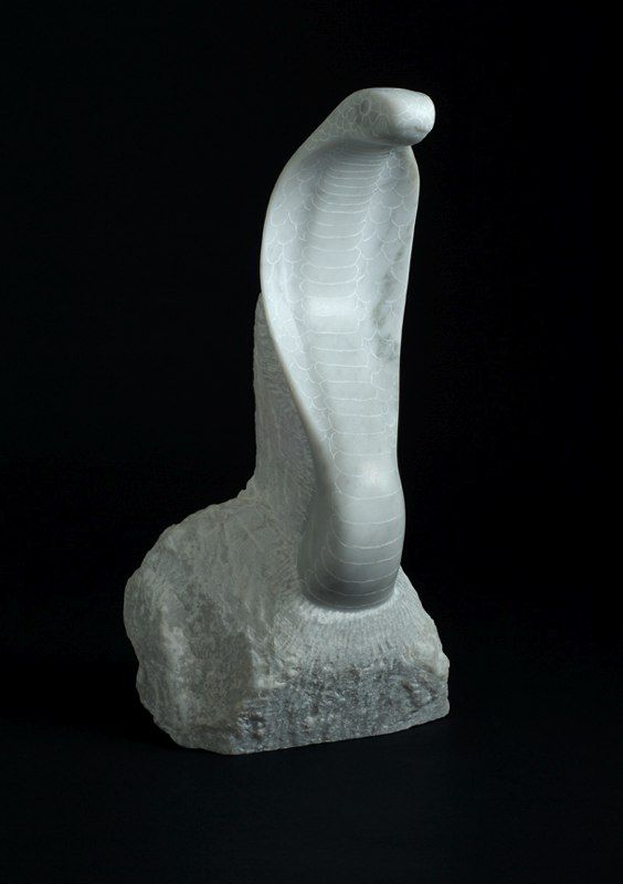 Cobra by Simon Burns-Cox