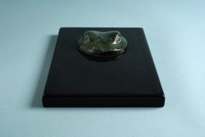 Frog 1 by Simon Burns-Cox
